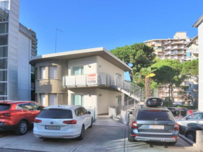 Conchiglie Lignano Pineta